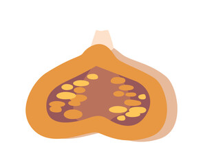 Raw Pumpkin Half Slice With A Moist And Flavorful Texture, Fresh And Nutritious Treat, Sliced From A Whole Pumpkin