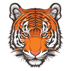 A vector, hand-drawn tiger head illustration, isolated, on white background.