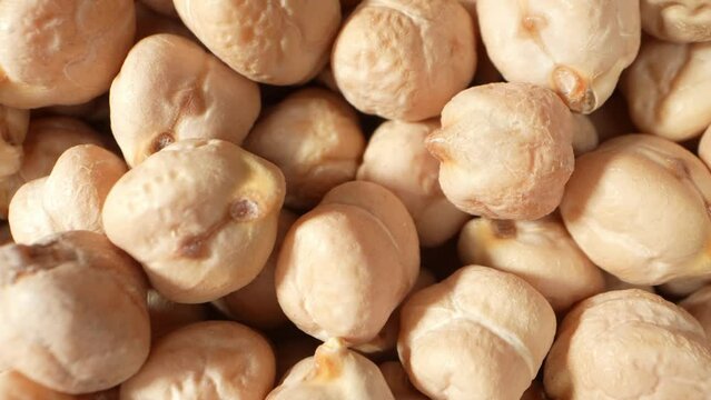 Chickpea seeds are a nutrient-dense legume, rich in protein, fiber, vitamins (B, C, and folate), minerals (iron, phosphorus, potassium), and antioxidants, supporting overall health and digestion.
