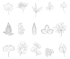 leaves vector assets simple line art pencil stroke like arrangement for logo frame wedding design invitation botanical pattern