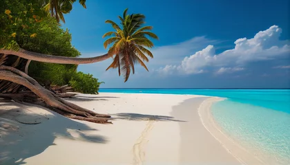 Foto op Canvas Beautiful beach on the Maldives' exotic island Ai generated image © TrendyImages
