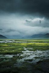 Stormy Sky over Wetlands with Green Marshes Mountains and Reflective Water in Moody Natural Landscape