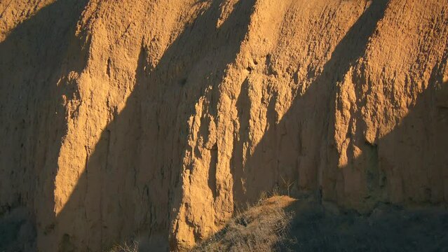The banks of river channels of the Ice Age (modern Black Sea estuaries) usually consist of sedimentary clay soils. Clay cliff on the Kuyalnik estuary, close-up.