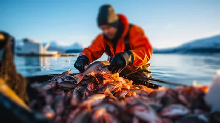Foto op Canvas winter industrial fishing, fish in the net , sorting frozen fish in the port generative ai © Fukume