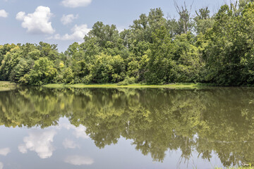 Fototapeta premium Beautiful lake pond set against the reflection of trees, blue sky and clouds. A sense of peace and escape from the city.