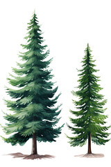 Obraz premium Christmas trees isolated white background, vector illustration PNG