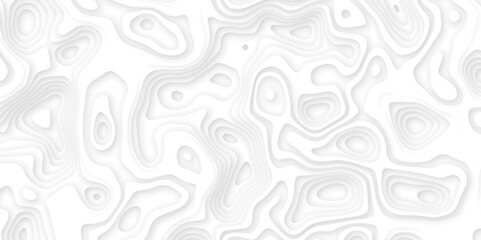 Abstract wavy line 3d paper cut white background. Topographic canyon geometric map relief texture with curved layers and shadow. Abstract realistic papercut decoration textured with wavy layers	
