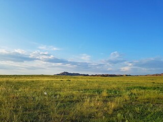 a vast meadow