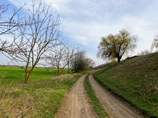 Fototapeta na wymiar Rural dirt road between hills and green meadows trees without leaves blue sky during the day