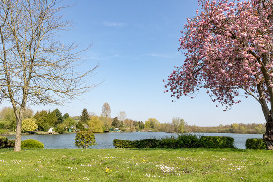 Etang de la Vall&eacute;e de Somme &agrave; Cappy