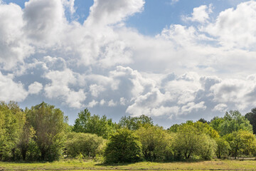 Fototapeta na wymiar Ciel nuageux au-dessus du Parc Ornithologique du Marquenterre