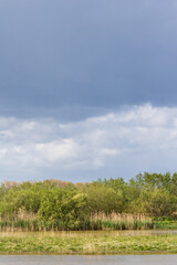 Obraz premium Ciel nuageux au-dessus du Parc Ornithologique du Marquenterre