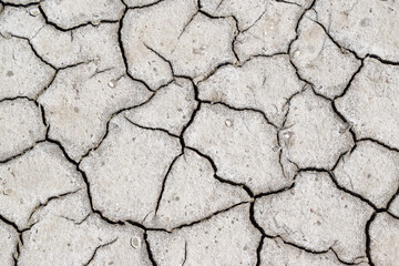 Top view of dry cracked earth with natural gray texture. Symbol of global warming and climate change, perfect for environmental issues, drought concepts, or ecological background designs.

