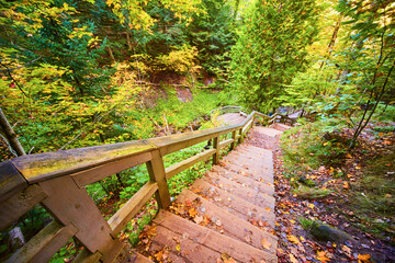 Wooden railing and stairs descend into lush green forest canyon on summer day