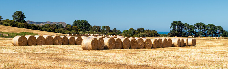 straw bales lined up on a harvested field