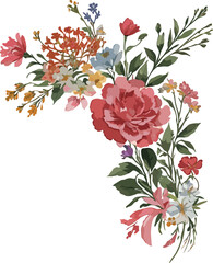 Watercolor carnation , cheery broom , wild flowers , illustration flower vector