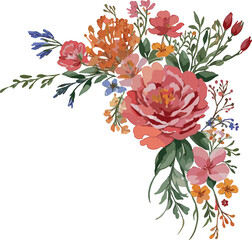 Watercolor carnation , cheery broom , wild flowers , illustration flower vector