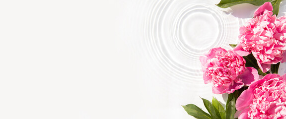 Flowers pink peonies floating stains from a drop on the water. Top view, flat lay. Banner