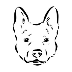 Decorative portrait of standing in profile Australian Cattle Dog, vector isolated illustration in black color on white background
