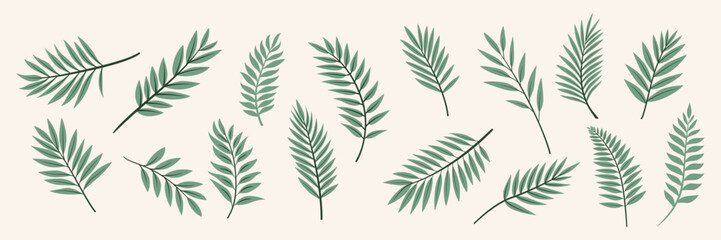 Flat Vector Tropical Palm Leaves Icon Set Isolated. Tropical Exotic Foliage, Sprig with Leaves, Tree Twig Collection. Decorative Tropical Leaf Design Element Making Brushes, Patterns, Frames etc.