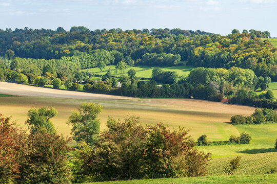 Paysage de bocage &agrave; Humbert