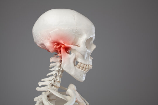 Jaw bone pain, human mandibula red zone, head pain and tinitus