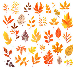 Multicolored autumn leaves, digital illustration in cartoon style isolated on white background