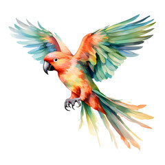 watercolor flying parrot bird vector