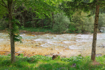 Majestic turquoise Soca river in the green forest, Bovec, Slovenia, Europe. Beautiful rafting and kayaking place in Europe. Great recreation place and kayaking destination.	