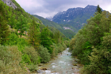 Fototapeta na wymiar Majestic turquoise Soca river in the green forest, Bovec, Slovenia, Europe. Beautiful rafting and kayaking place in Europe. Great recreation place and kayaking destination. 