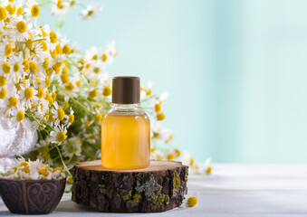 Spa and wellness concept. Composition with chamomile flowers and cosmetic bottle of essential oil bottle on light blue background
