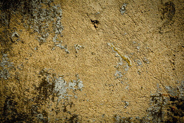 Stone with concrete texture