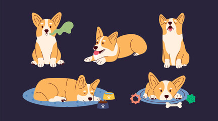 Obraz na płótnie Canvas Dog Corgi characters in different poses with symptoms of dental problems. Sad, howling, not playing, salivation, foul mouth odor. Vector illustration cartoon style