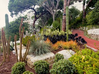 Gibraltar Botanic Gardens 2023