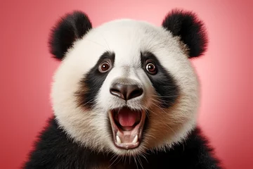 Foto op Plexiglas Shocked panda with big eyes isolated on pink background, funny animal expression, cute and surprised face © iridescentstreet
