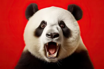 Foto op Plexiglas Shocked panda with big eyes isolated on red background, funny animal expression, cute and surprised face © iridescentstreet