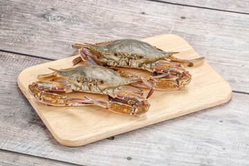 Two raw crab for cooking
