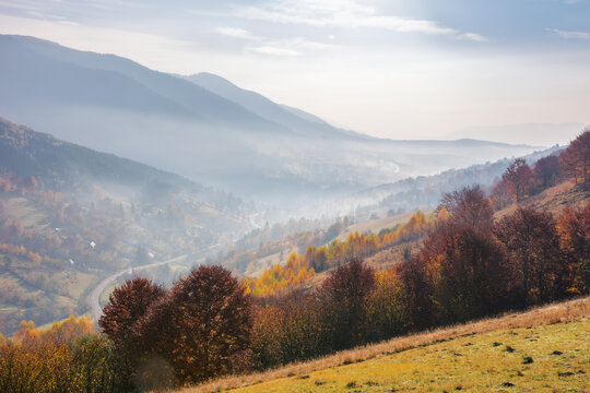 misty autumn sunrise in mountains. scenery with colorful trees on the grassy hills in morning light. landscape rolling in to the distant valley full of fog