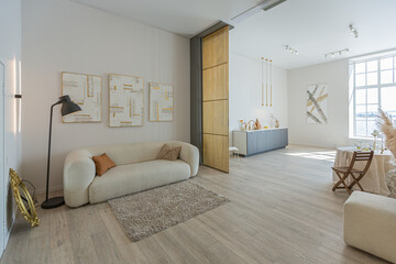 Fototapeta na wymiar bright open-plan apartment in a modern design, light walls and wooden floor in a room with daylight