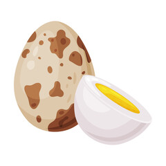Boiled Quail Eggs in Shell and Half with Yolk Vector Illustration