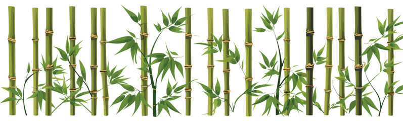bamboo vector simple 3d smooth cut and paste white isolated illustration