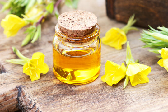 Evening primrose oil in glass bottle with flowers on wooden rustic background, closeup, natural medicine for menopause treatment, for skin care and anti-aging, cosmetic supplement and emollient