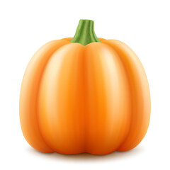 Pumpkin with green stem isolated on white background. Decorative art element for Thanksgiving, Halloween celebration layout design. Bright orange fruit. Autumn harvest festival. Realistic 3d vector