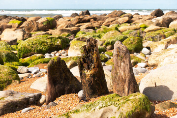weathered wood by the sea