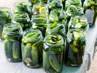 The process of pickling cucumbers for the winter in glass jars. Cucumbers and spices for pickling are laid out in jars.