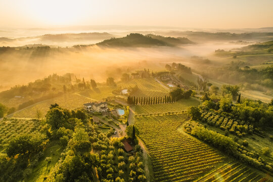 Aerial view of famous medieval San Gimignano hill. Province of Siena, Tuscany, Italy.  Amazing landscape of vineyards in Toscany,Italy