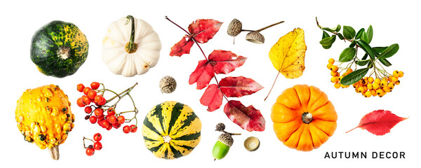 Decorative pumpkin, autumn berries and leaves set isolated. PNG with transparent background. Flat...
