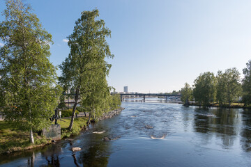 Fototapeta premium Joensuu Summer