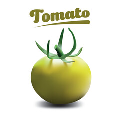 Fresh Harvest Vegetable Element Collection