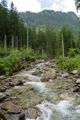 Stream in the mountains